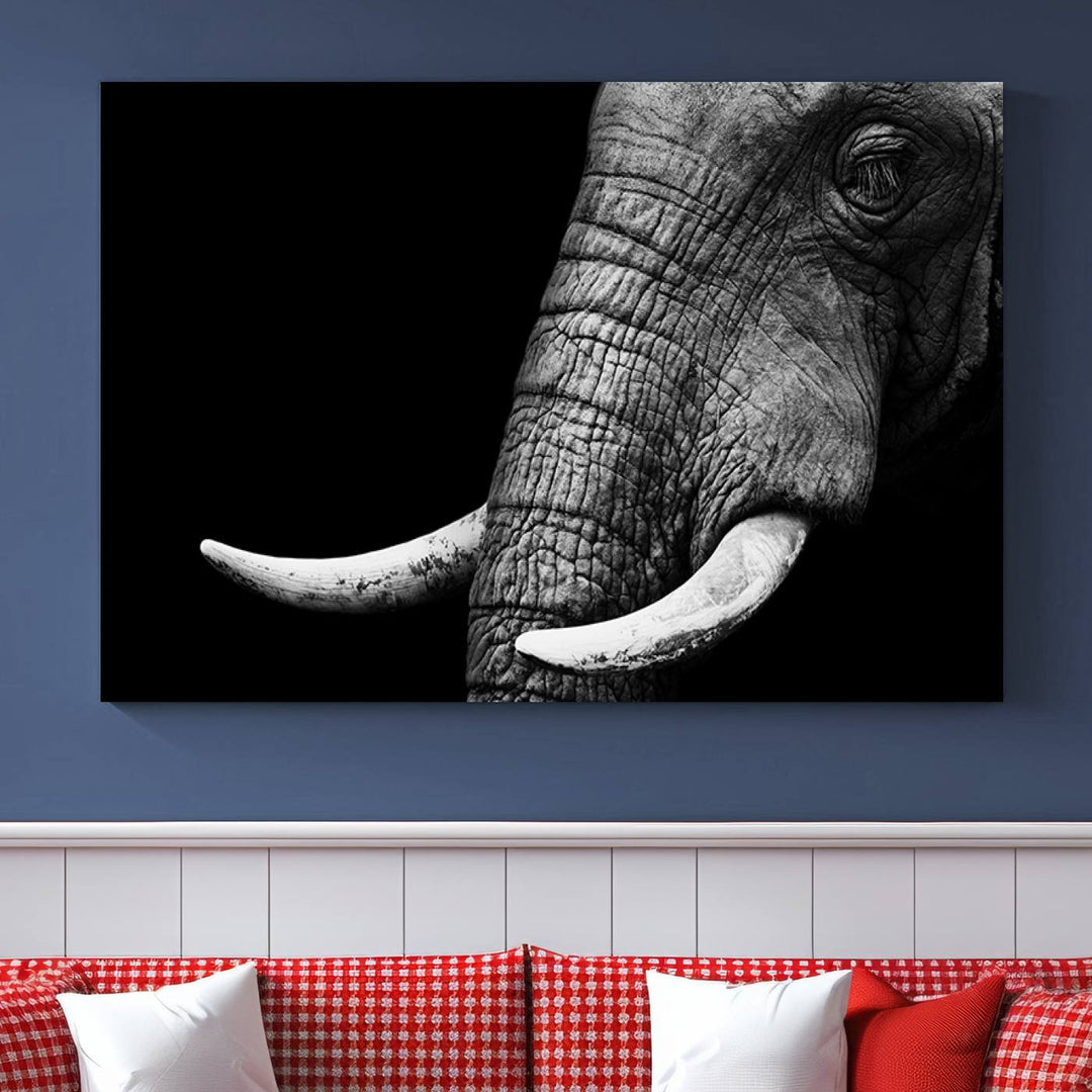 Large Wall Art Animal Canvas PrintClose Taken Elephant with Big Ivories