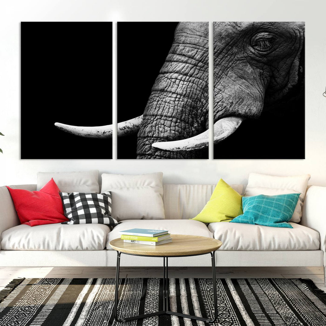 Large Wall Art Animal Canvas PrintClose Taken Elephant with Big Ivories