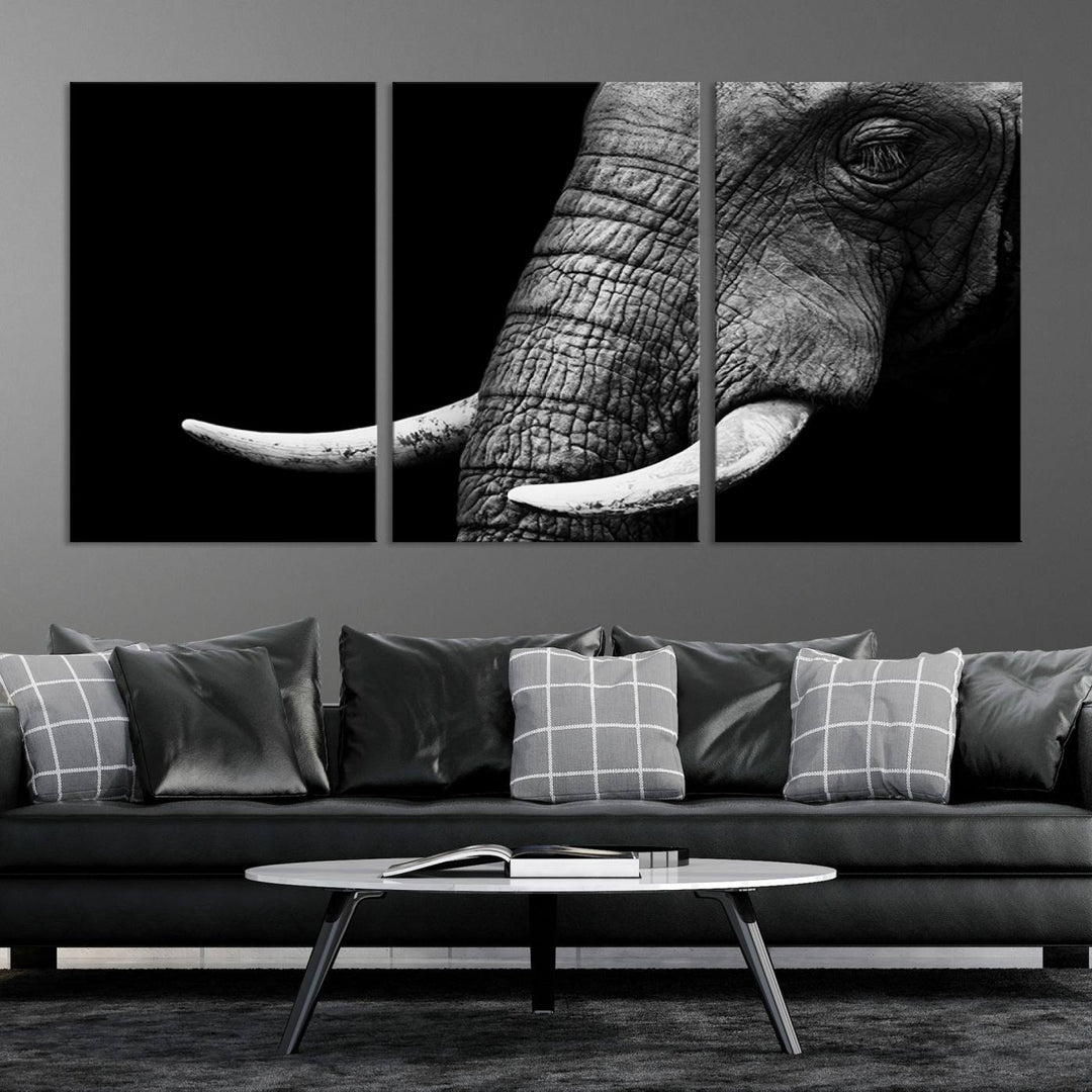 Large Wall Art Animal Canvas PrintClose Taken Elephant with Big Ivories