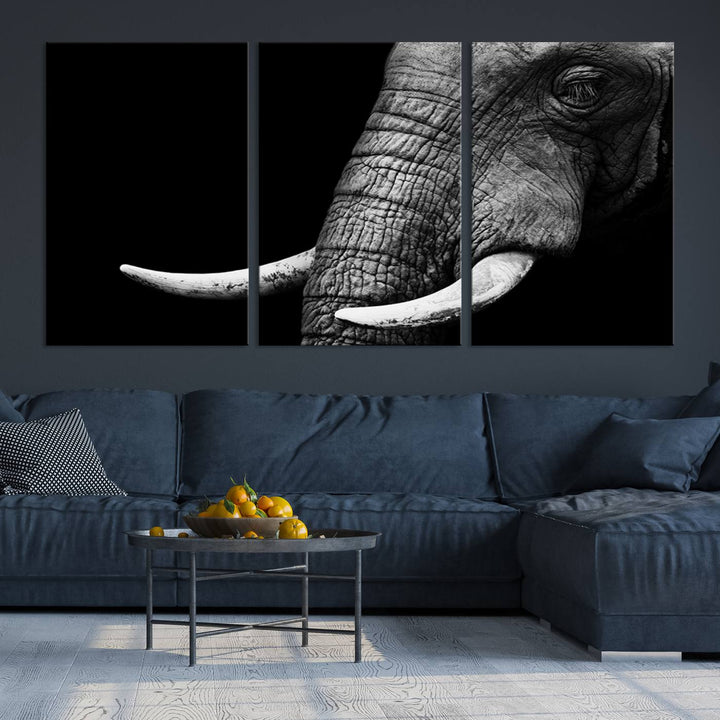 Large Wall Art Animal Canvas PrintClose Taken Elephant with Big Ivories