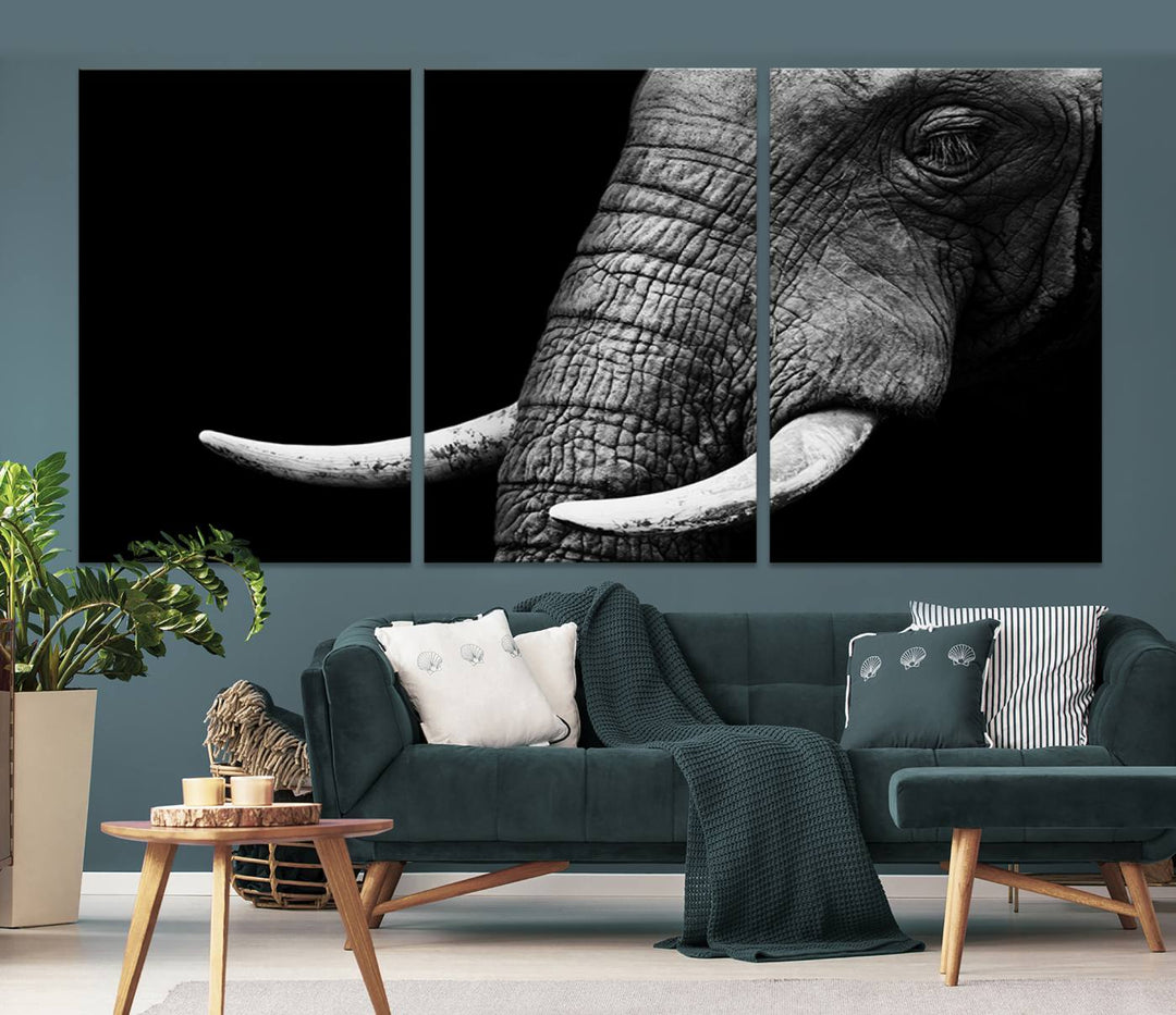 Large Wall Art Animal Canvas PrintClose Taken Elephant with Big Ivories