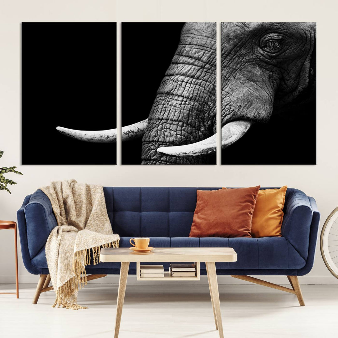 Large Wall Art Animal Canvas PrintClose Taken Elephant with Big Ivories