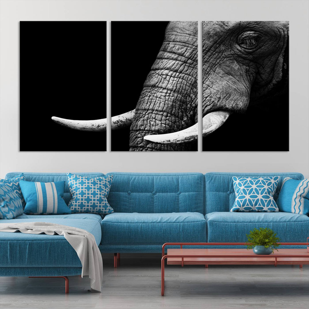 Large Wall Art Animal Canvas PrintClose Taken Elephant with Big Ivories