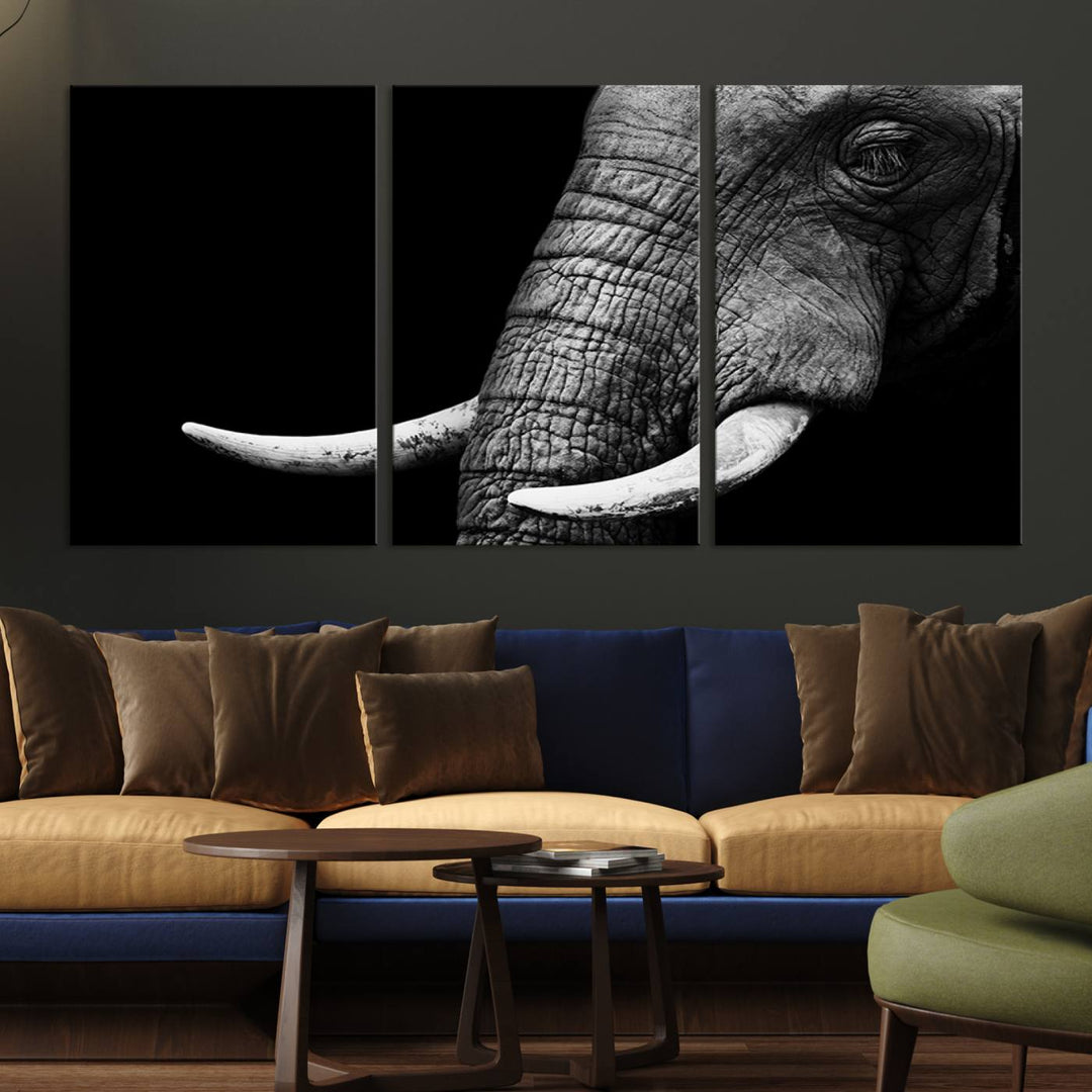 Large Wall Art Animal Canvas PrintClose Taken Elephant with Big Ivories