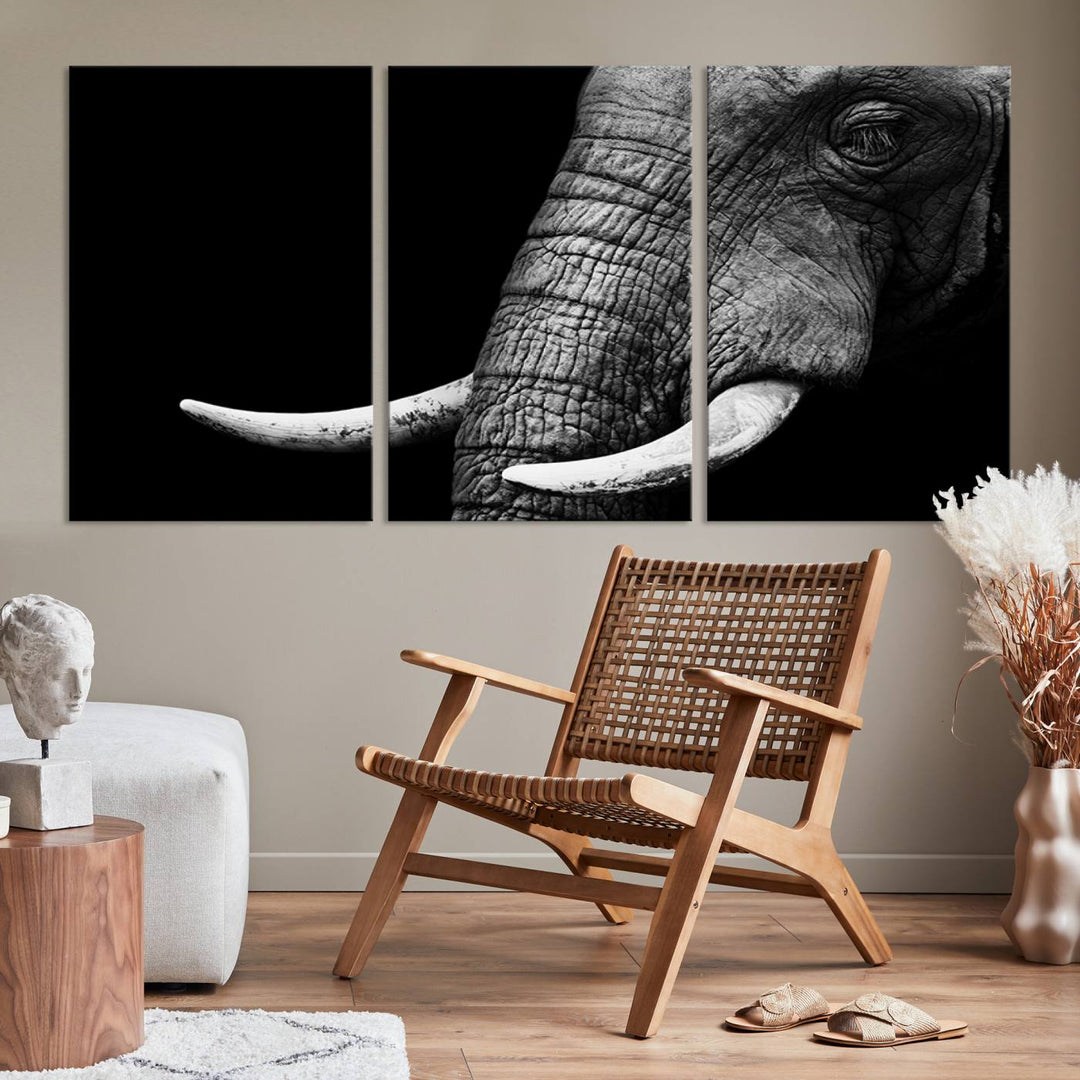 Large Wall Art Animal Canvas PrintClose Taken Elephant with Big Ivories