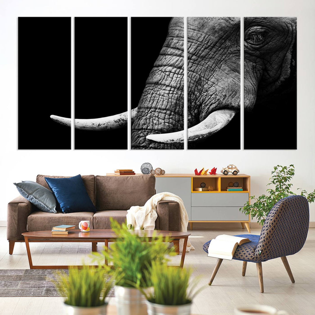 Large Wall Art Animal Canvas PrintClose Taken Elephant with Big Ivories