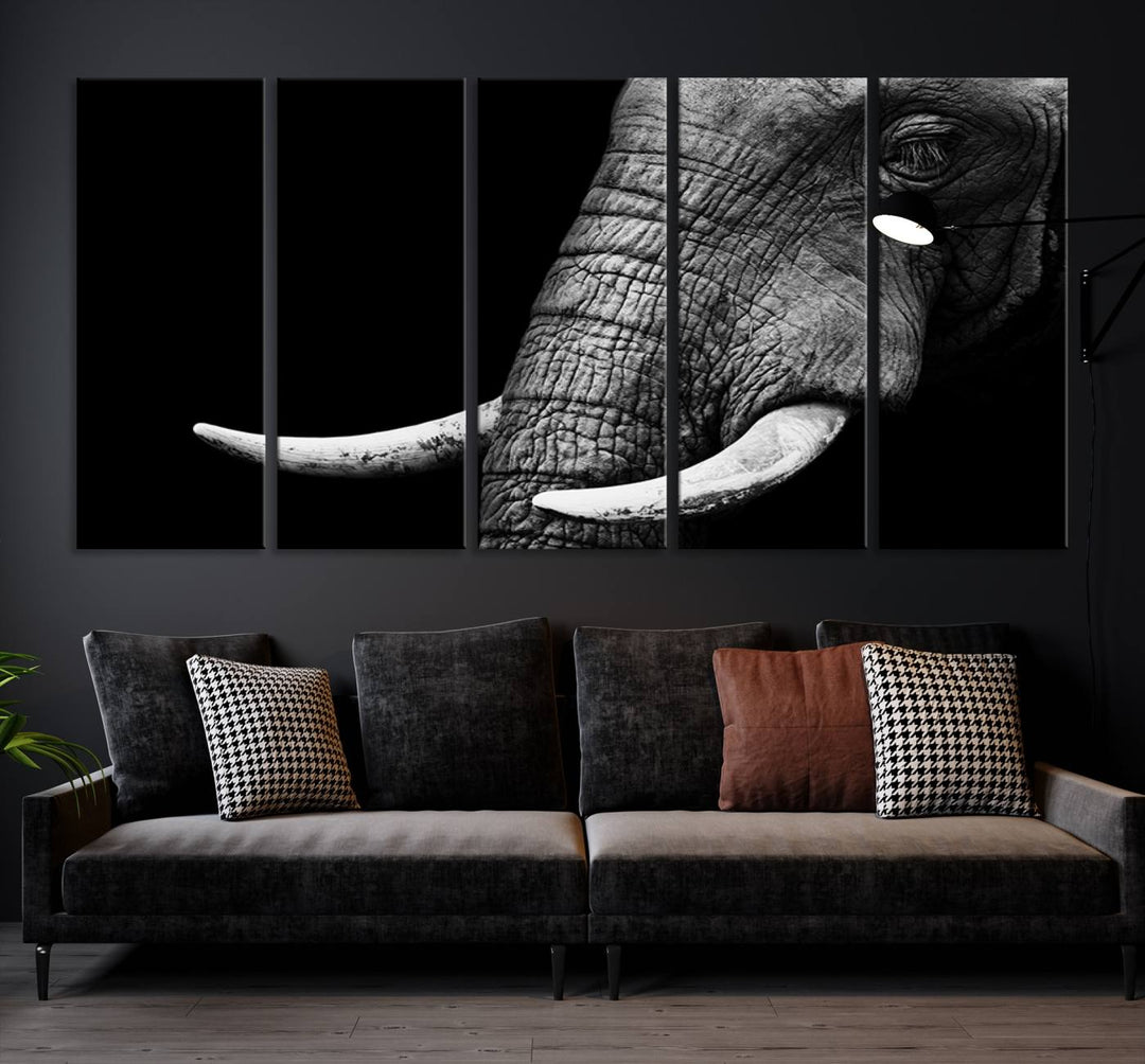 Large Wall Art Animal Canvas PrintClose Taken Elephant with Big Ivories