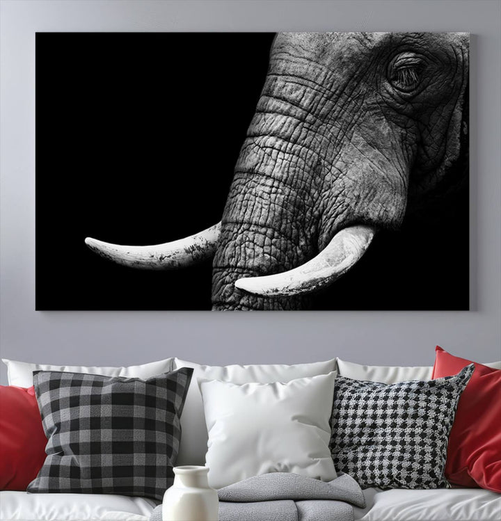 Large Wall Art Animal Canvas PrintClose Taken Elephant with Big Ivories