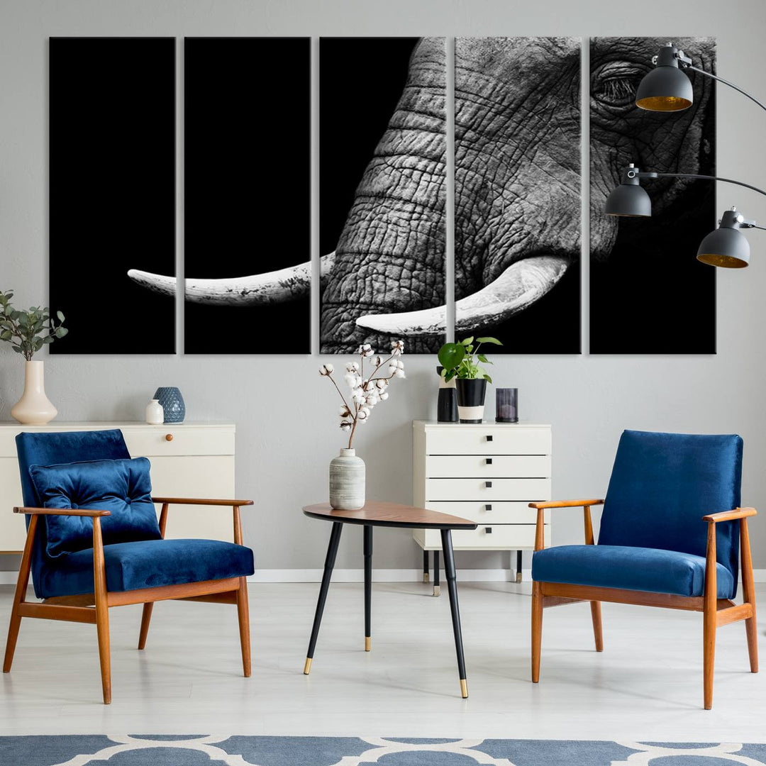 Large Wall Art Animal Canvas PrintClose Taken Elephant with Big Ivories