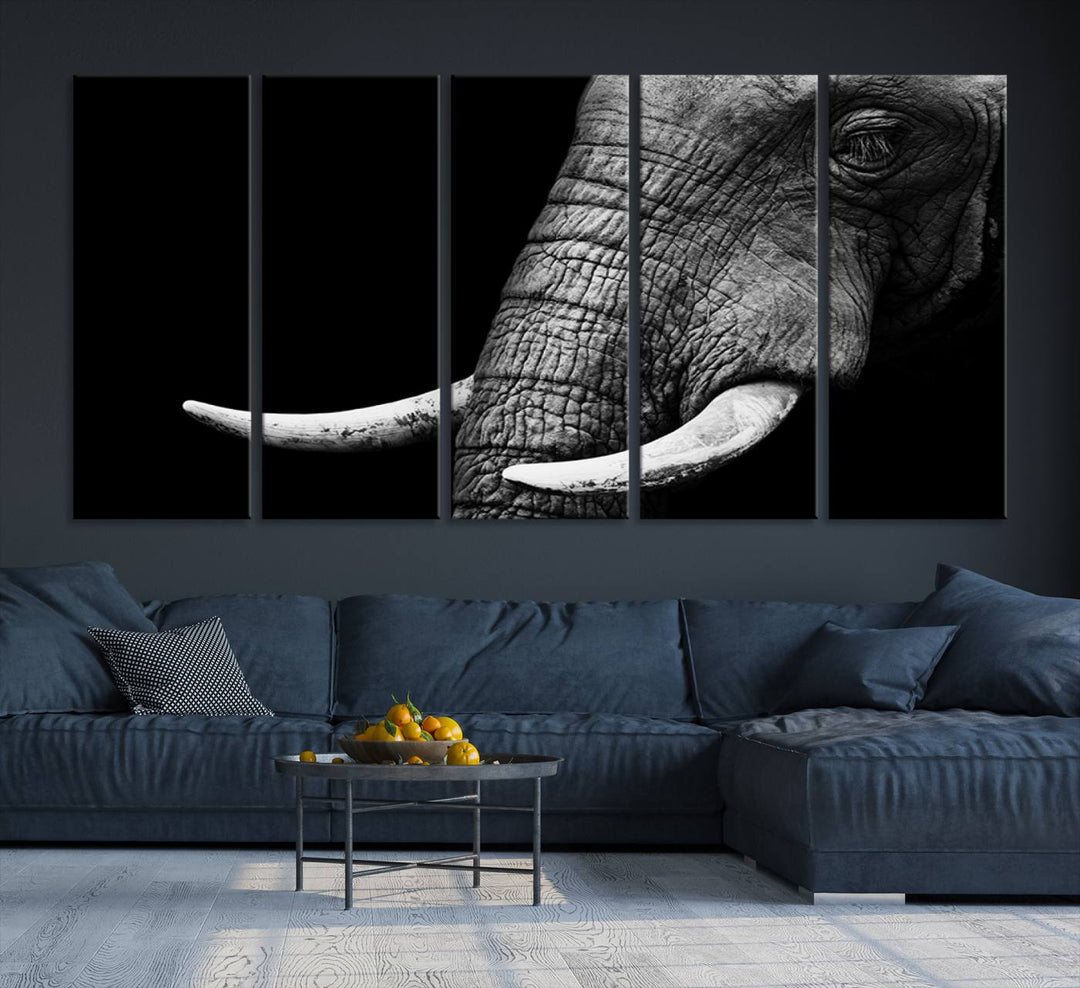 Large Wall Art Animal Canvas PrintClose Taken Elephant with Big Ivories