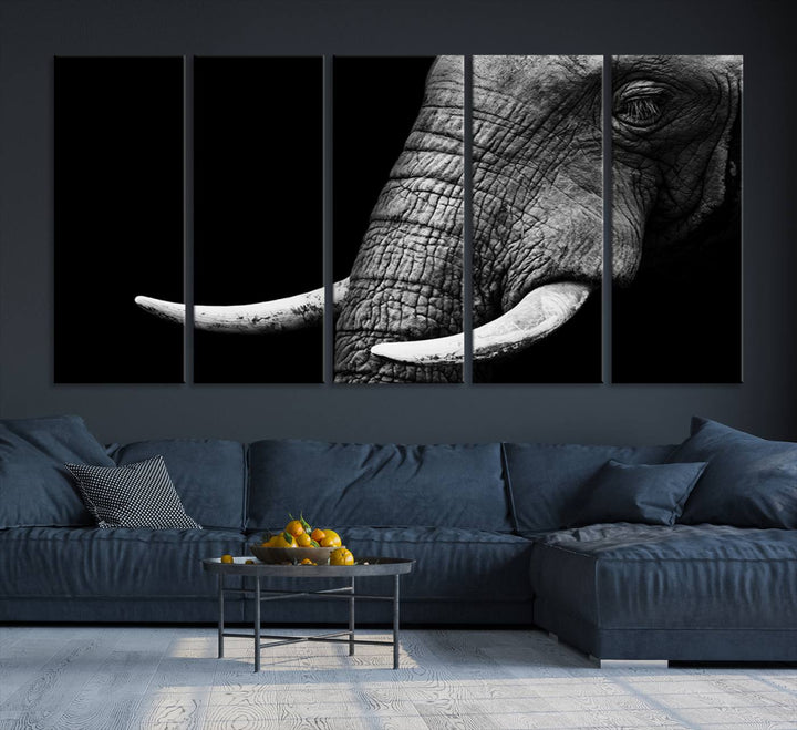 Large Wall Art Animal Canvas PrintClose Taken Elephant with Big Ivories