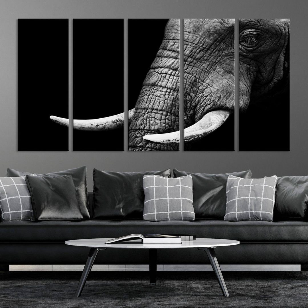 Large Wall Art Animal Canvas PrintClose Taken Elephant with Big Ivories