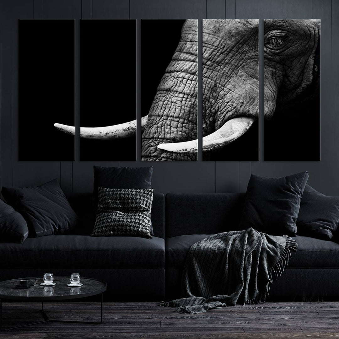 Large Wall Art Animal Canvas PrintClose Taken Elephant with Big Ivories