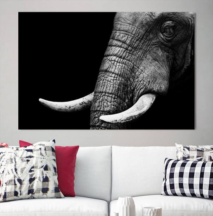 Large Wall Art Animal Canvas PrintClose Taken Elephant with Big Ivories