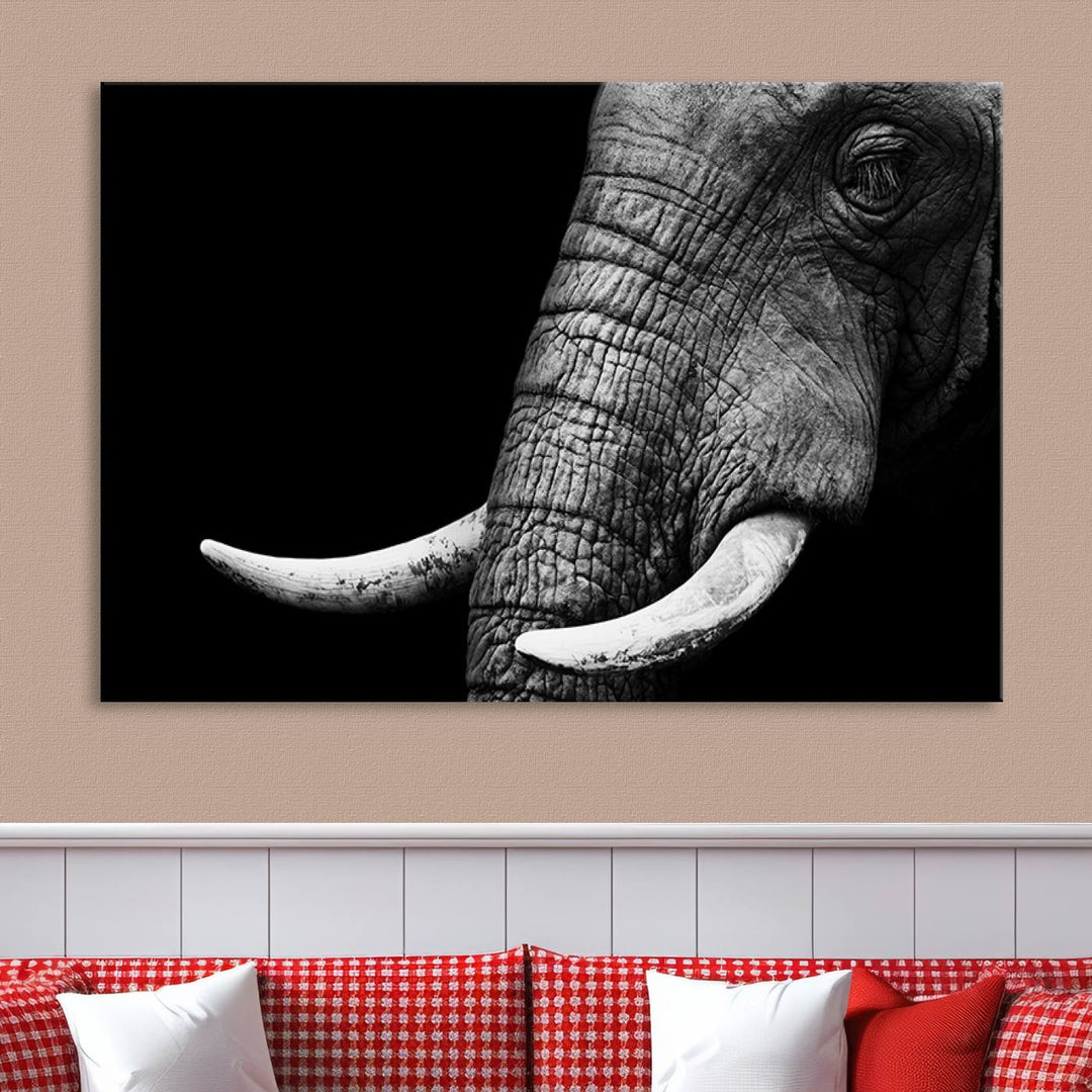 Large Wall Art Animal Canvas PrintClose Taken Elephant with Big Ivories