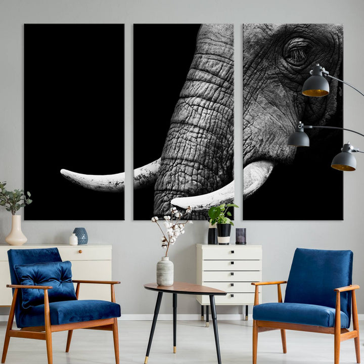 Large Wall Art Animal Canvas PrintClose Taken Elephant with Big Ivories