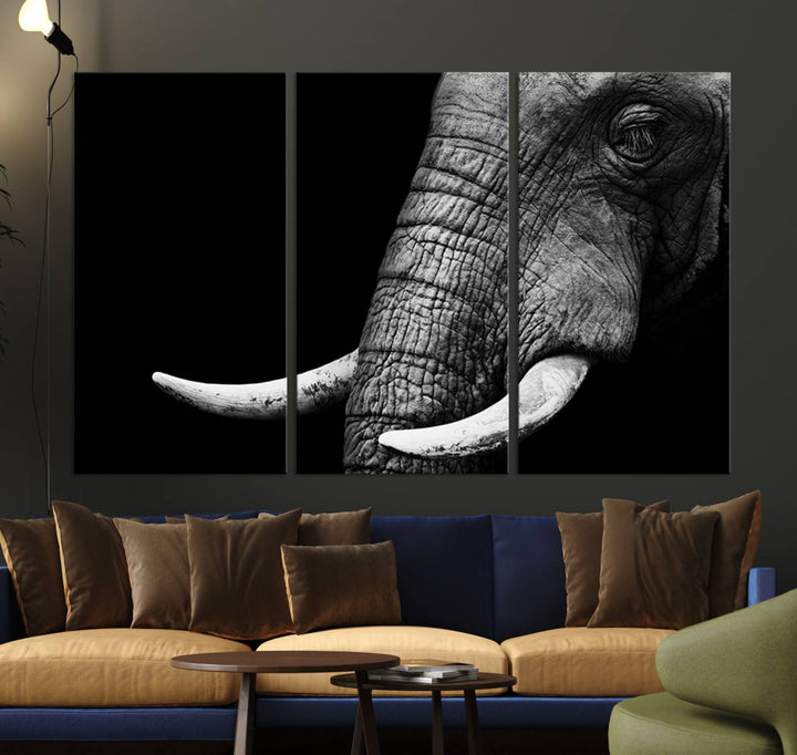 Large Wall Art Animal Canvas PrintClose Taken Elephant with Big Ivories