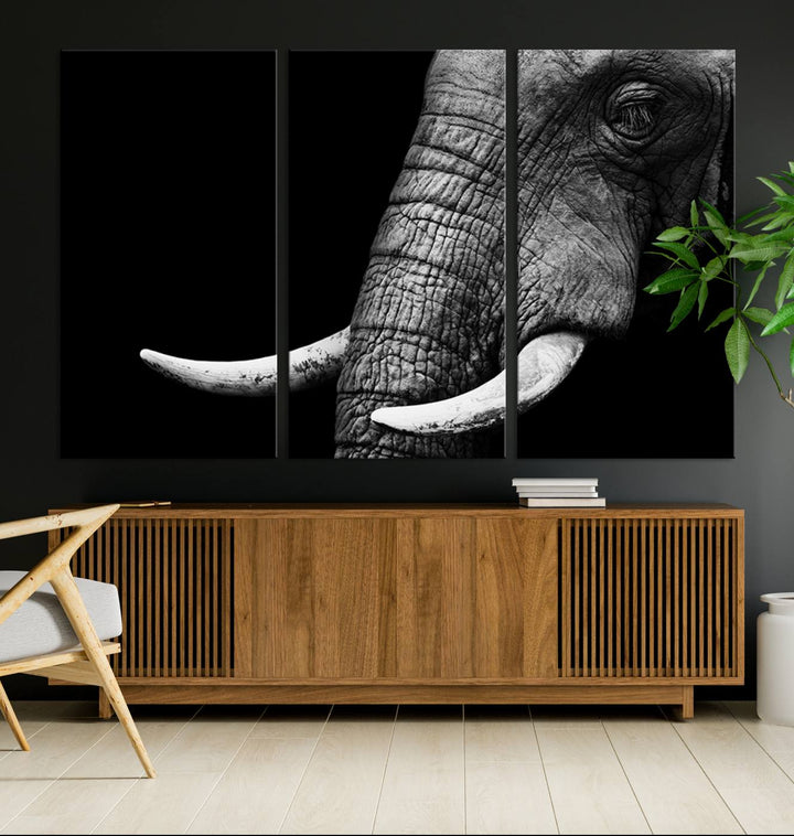 Large Wall Art Animal Canvas PrintClose Taken Elephant with Big Ivories