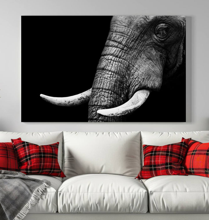 Large Wall Art Animal Canvas PrintClose Taken Elephant with Big Ivories