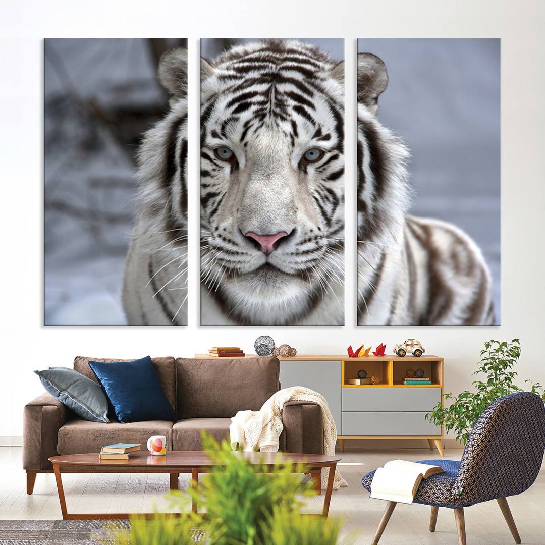 Large Wall Art Animal Canvas PrintScowing Bengal Tiger