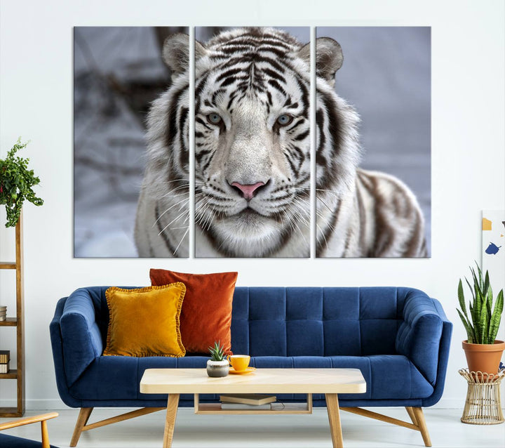 Large Wall Art Animal Canvas PrintScowing Bengal Tiger