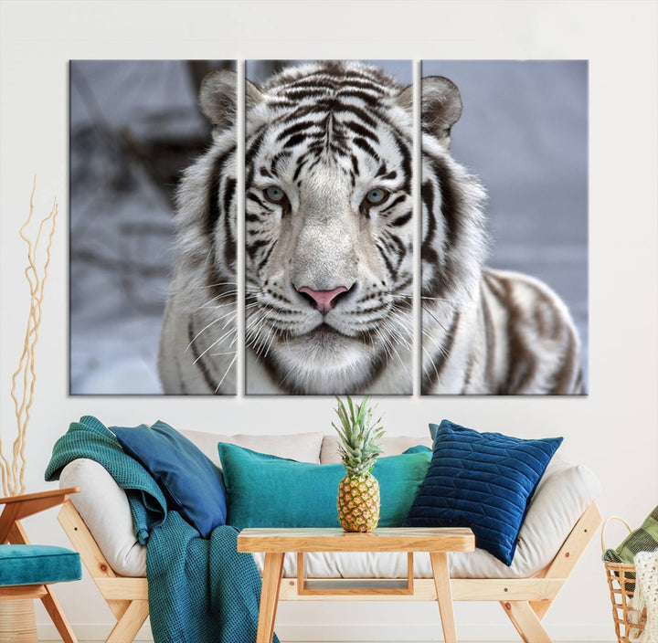 Large Wall Art Animal Canvas PrintScowing Bengal Tiger