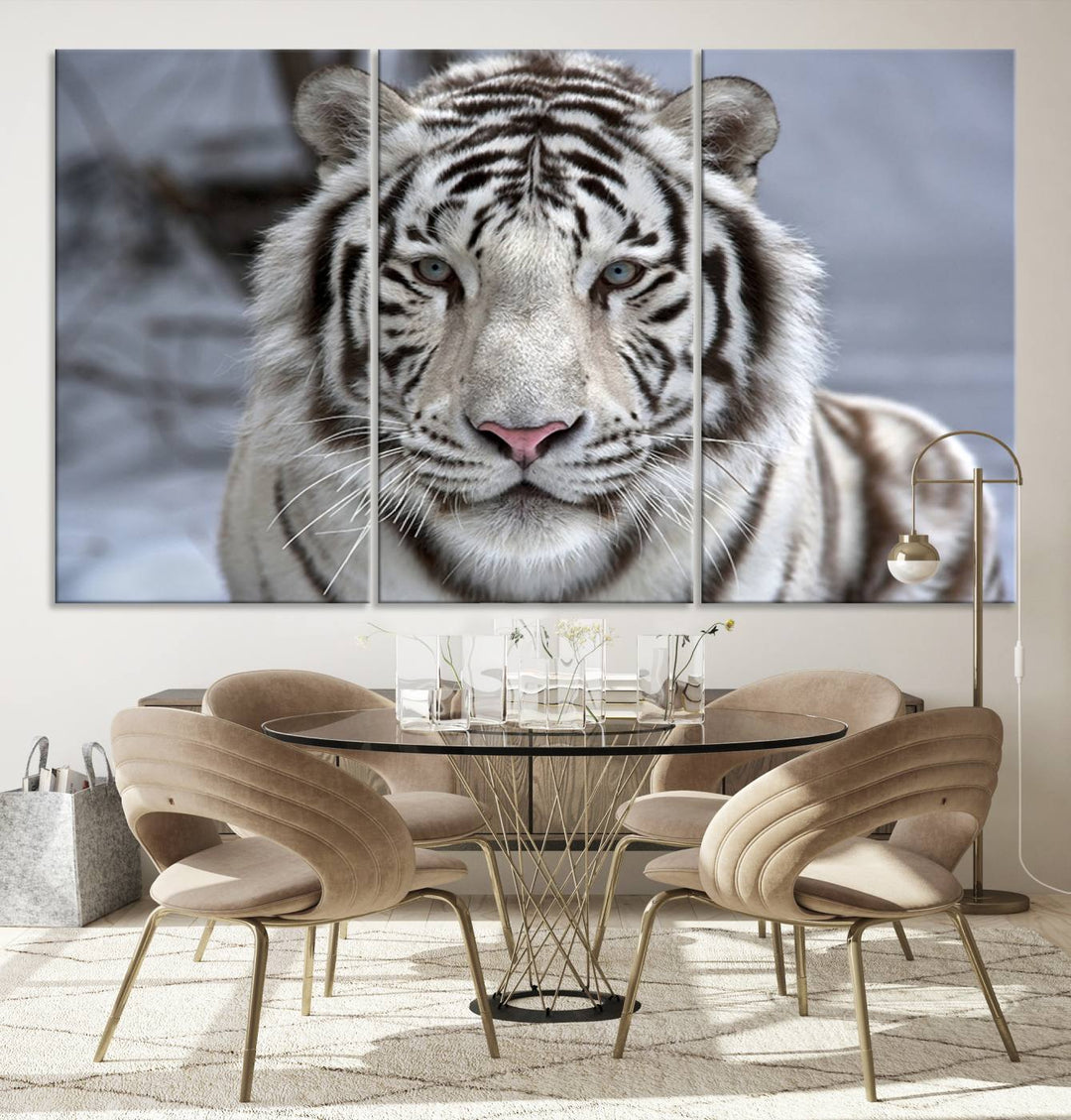 Large Wall Art Animal Canvas PrintScowing Bengal Tiger