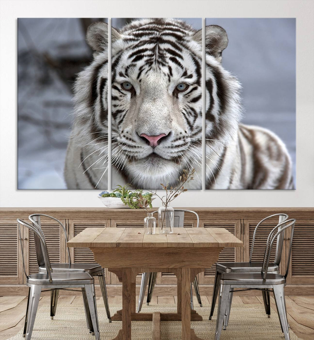 Large Wall Art Animal Canvas PrintScowing Bengal Tiger