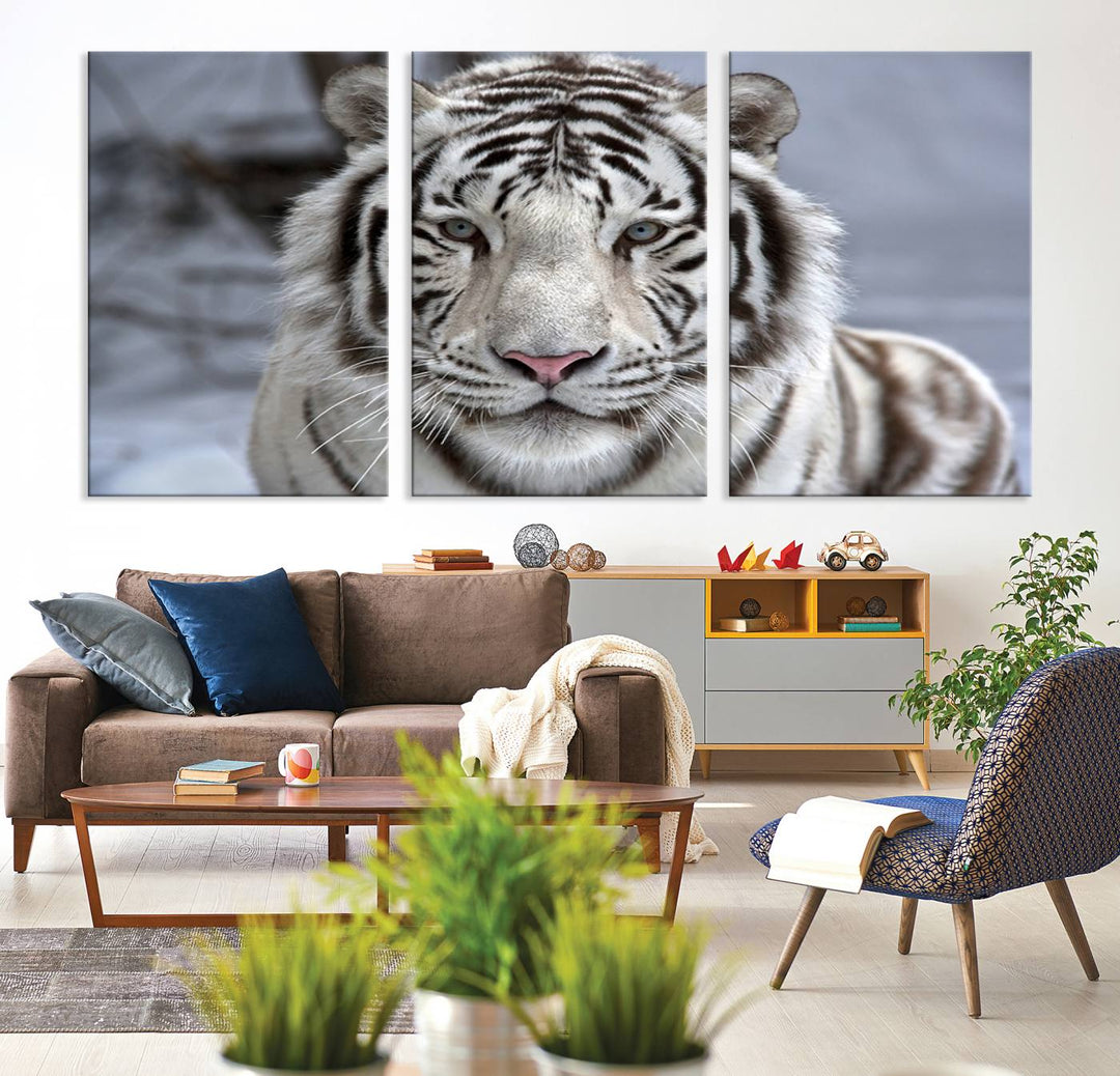 Large Wall Art Animal Canvas PrintScowing Bengal Tiger