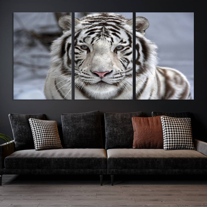 Large Wall Art Animal Canvas PrintScowing Bengal Tiger