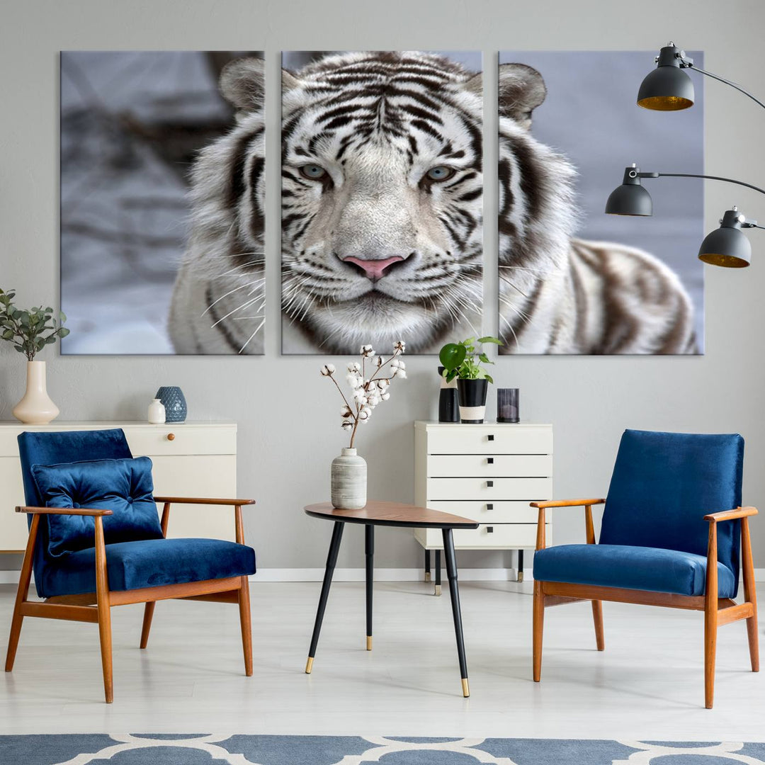 Large Wall Art Animal Canvas PrintScowing Bengal Tiger