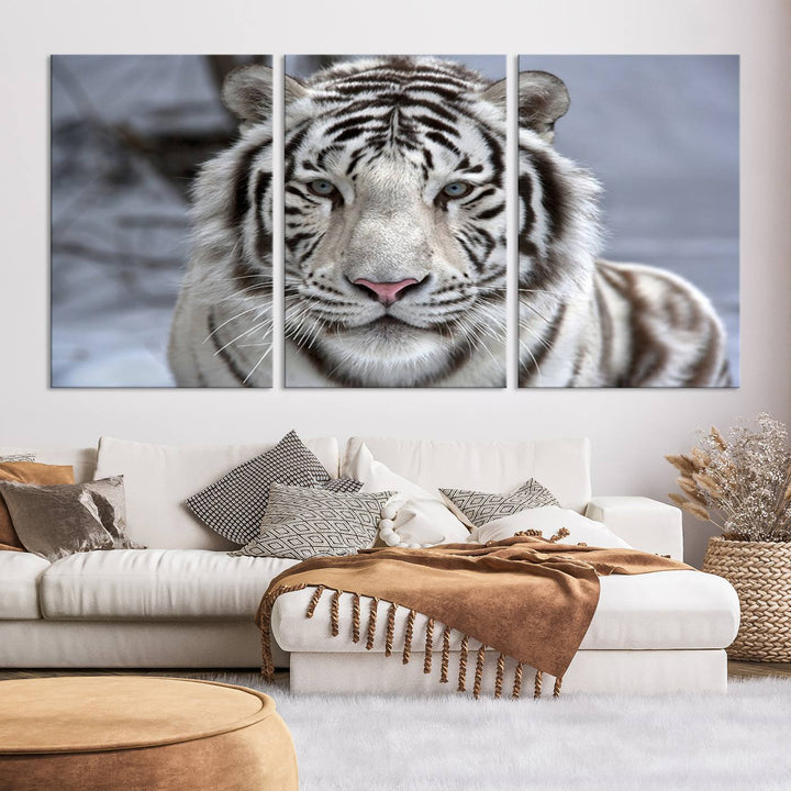 Large Wall Art Animal Canvas PrintScowing Bengal Tiger