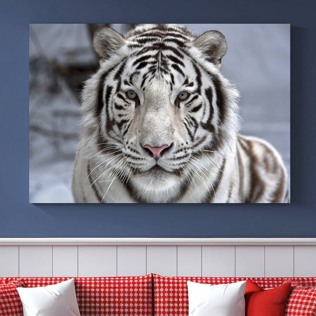 Large Wall Art Animal Canvas PrintScowing Bengal Tiger