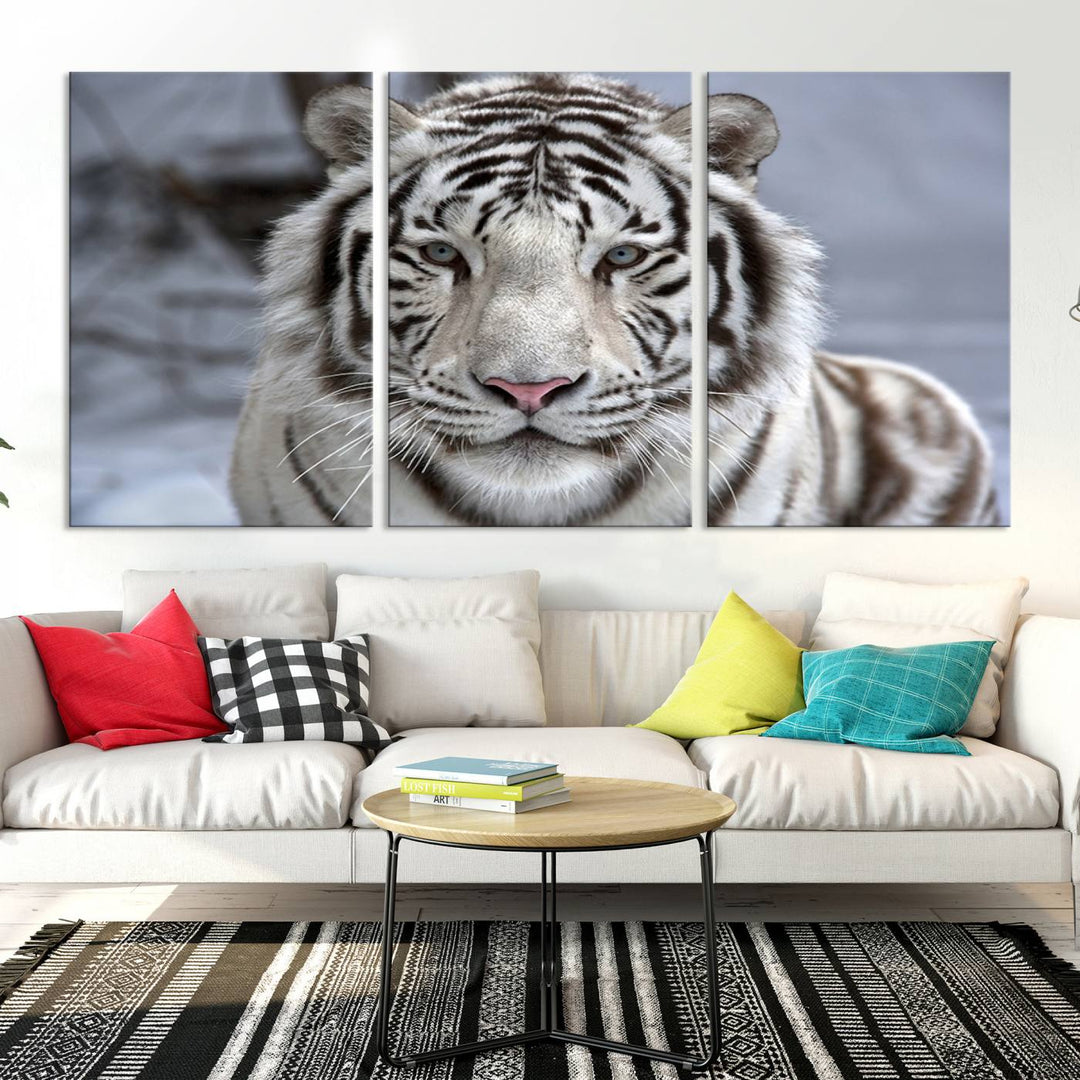 Large Wall Art Animal Canvas PrintScowing Bengal Tiger