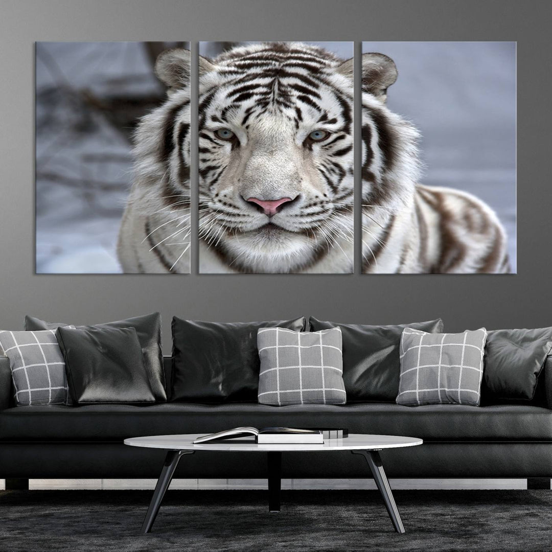 Large Wall Art Animal Canvas PrintScowing Bengal Tiger