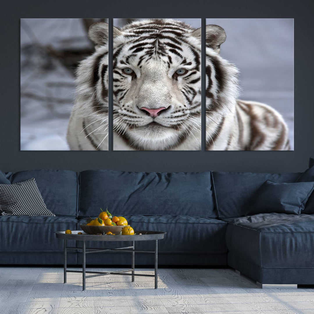 Large Wall Art Animal Canvas PrintScowing Bengal Tiger