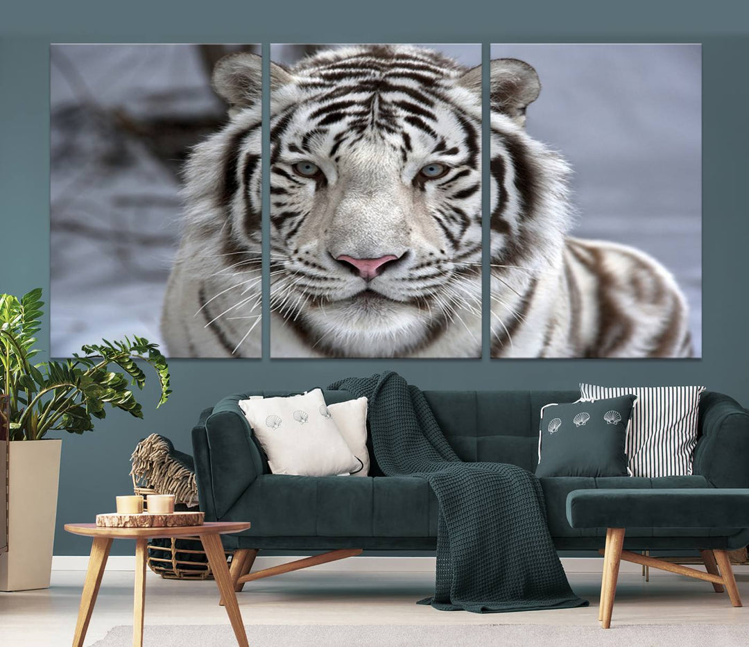 Large Wall Art Animal Canvas PrintScowing Bengal Tiger