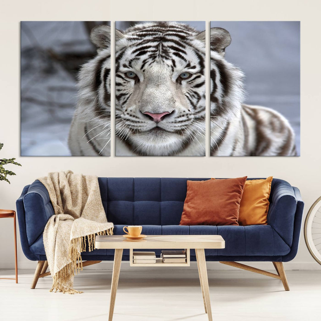 Large Wall Art Animal Canvas PrintScowing Bengal Tiger