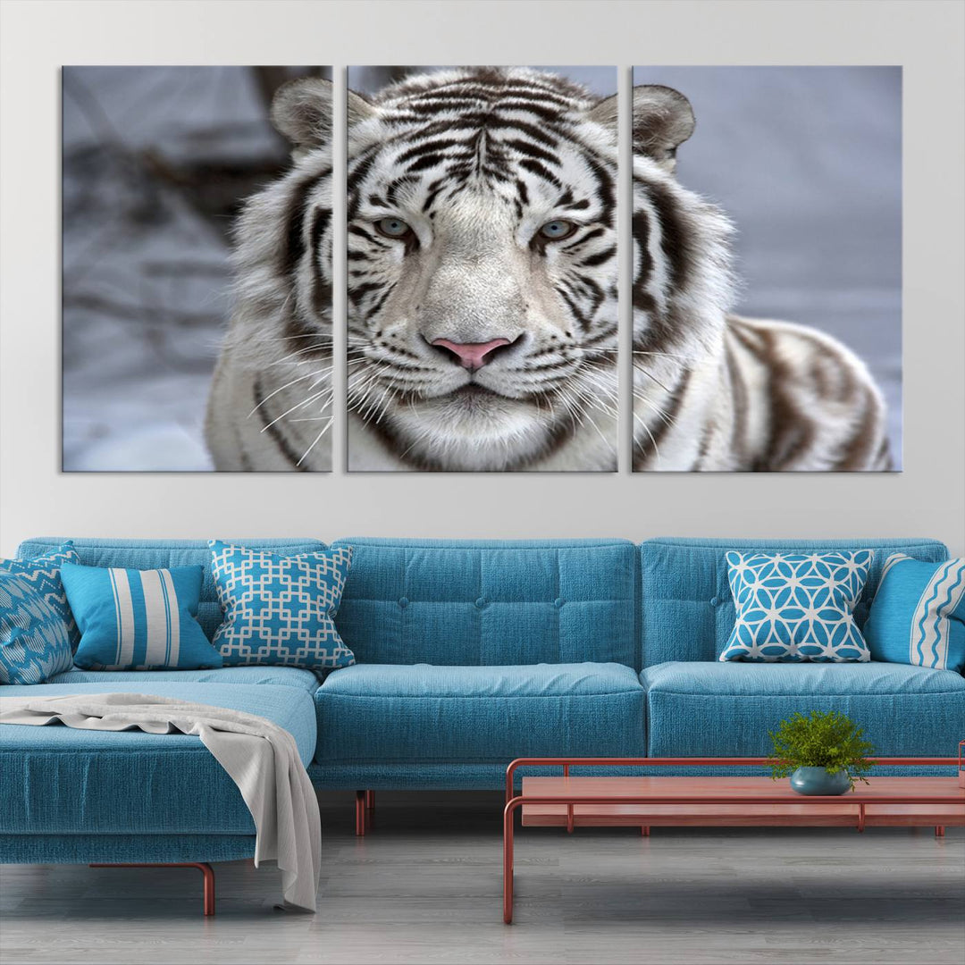 Large Wall Art Animal Canvas PrintScowing Bengal Tiger