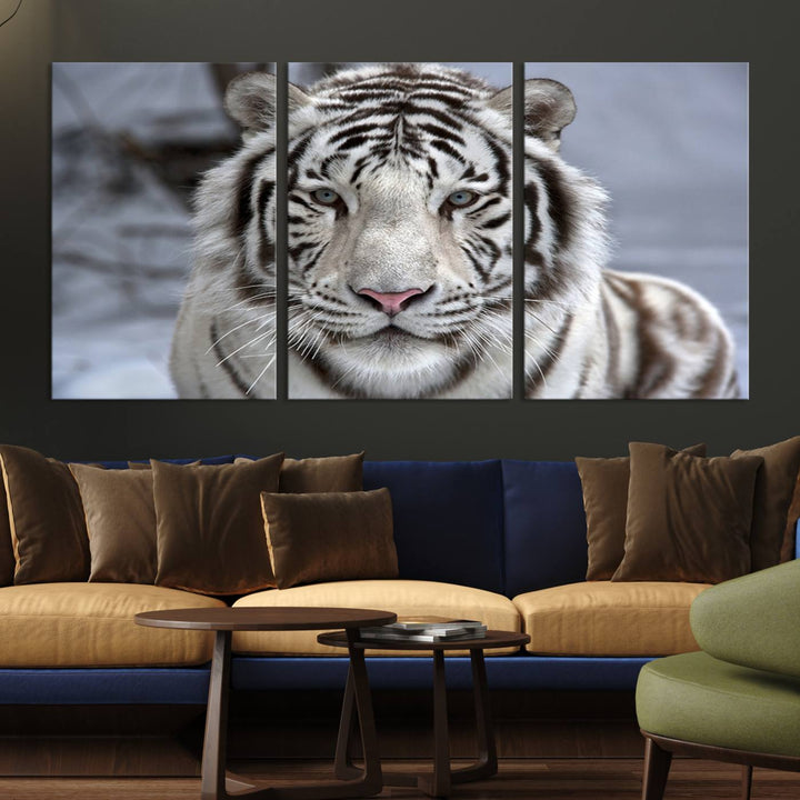 Large Wall Art Animal Canvas PrintScowing Bengal Tiger