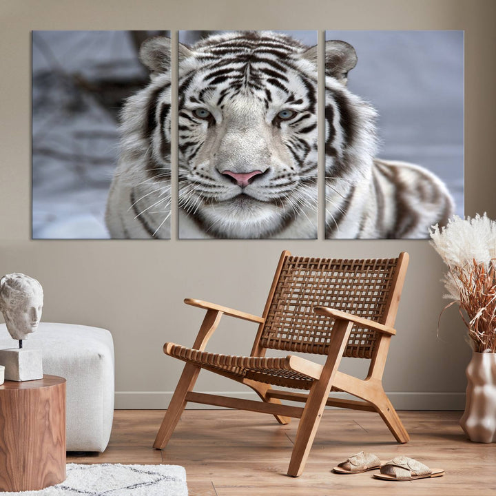 Large Wall Art Animal Canvas PrintScowing Bengal Tiger