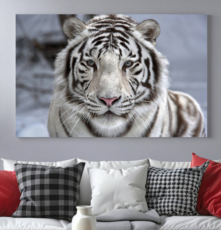 Large Wall Art Animal Canvas PrintScowing Bengal Tiger