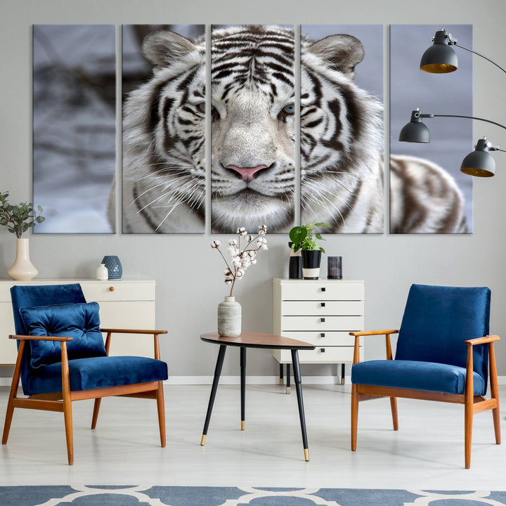 Large Wall Art Animal Canvas PrintScowing Bengal Tiger