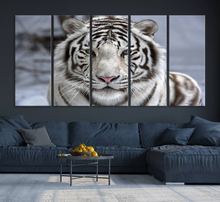 Large Wall Art Animal Canvas PrintScowing Bengal Tiger