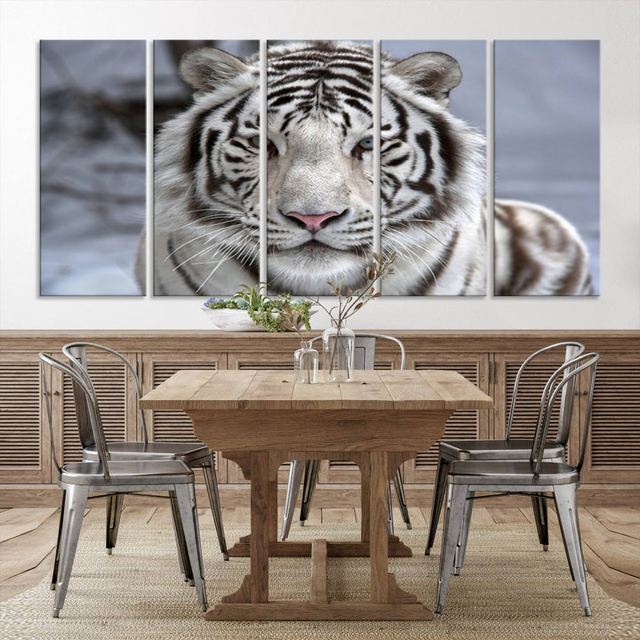 Large Wall Art Animal Canvas PrintScowing Bengal Tiger