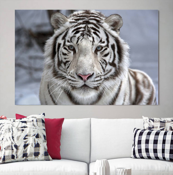 Large Wall Art Animal Canvas PrintScowing Bengal Tiger