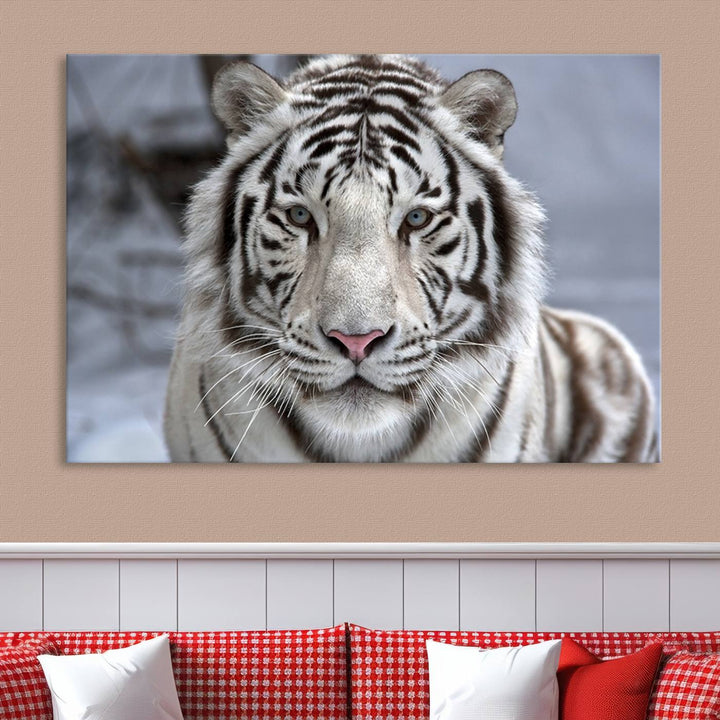 Large Wall Art Animal Canvas PrintScowing Bengal Tiger