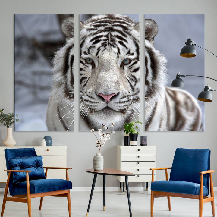 Large Wall Art Animal Canvas PrintScowing Bengal Tiger