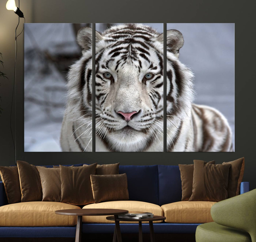 Large Wall Art Animal Canvas PrintScowing Bengal Tiger