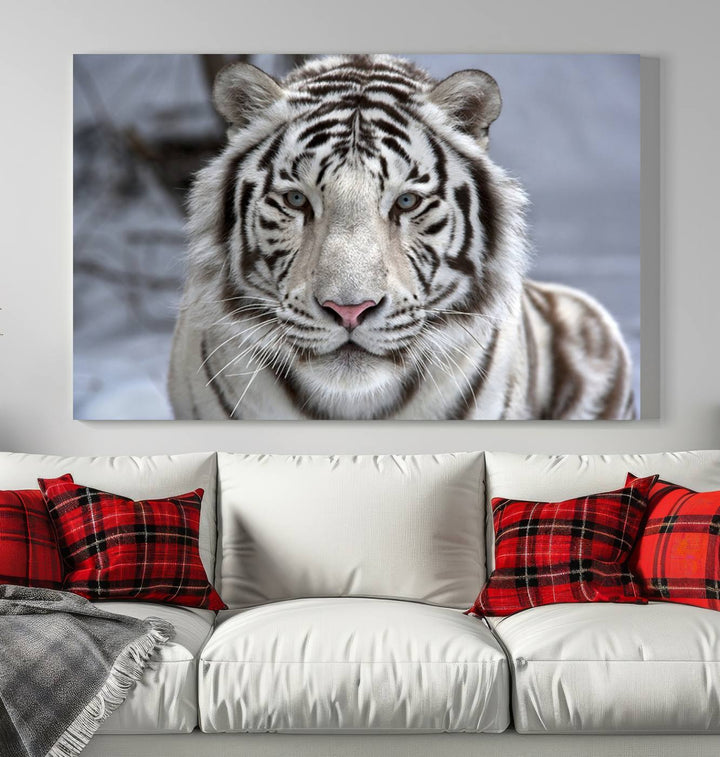 Large Wall Art Animal Canvas PrintScowing Bengal Tiger